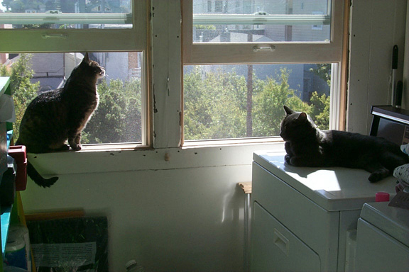 07_marcel_claude_window