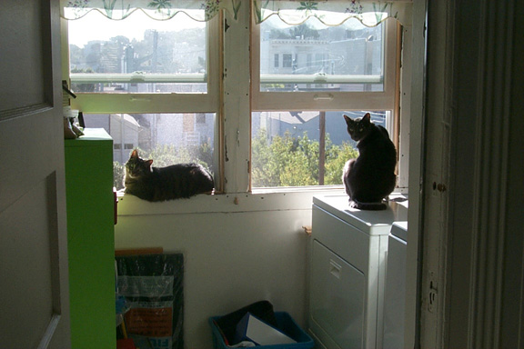 12_marcel_claude_windows2