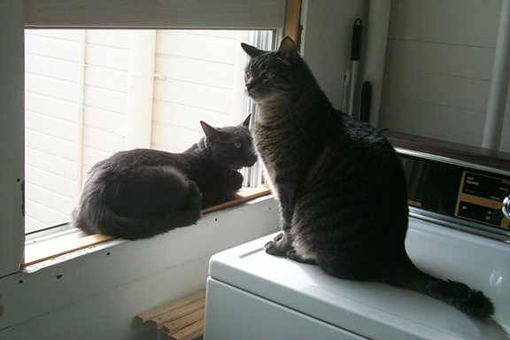 13_claude_marcel_window