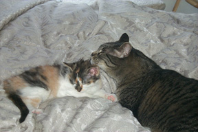 26_11_04noemarcelcleaning