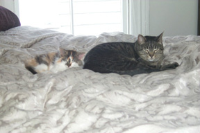 30_11_04noemarcelbed