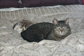 31_11_04noemarcelbed