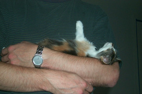 10_159noesleeping