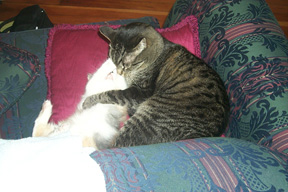 33_oct_26marcelhuggingnoe