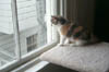 25_oct_24lookingoutwindow