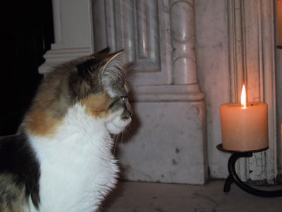 19noe_candles