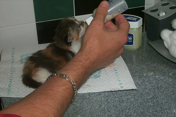 9_13bottlefeeding