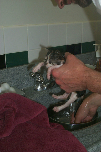 9_17bath