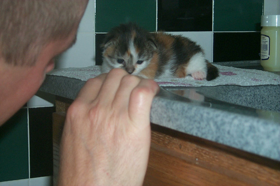 9_09sittingoncounter